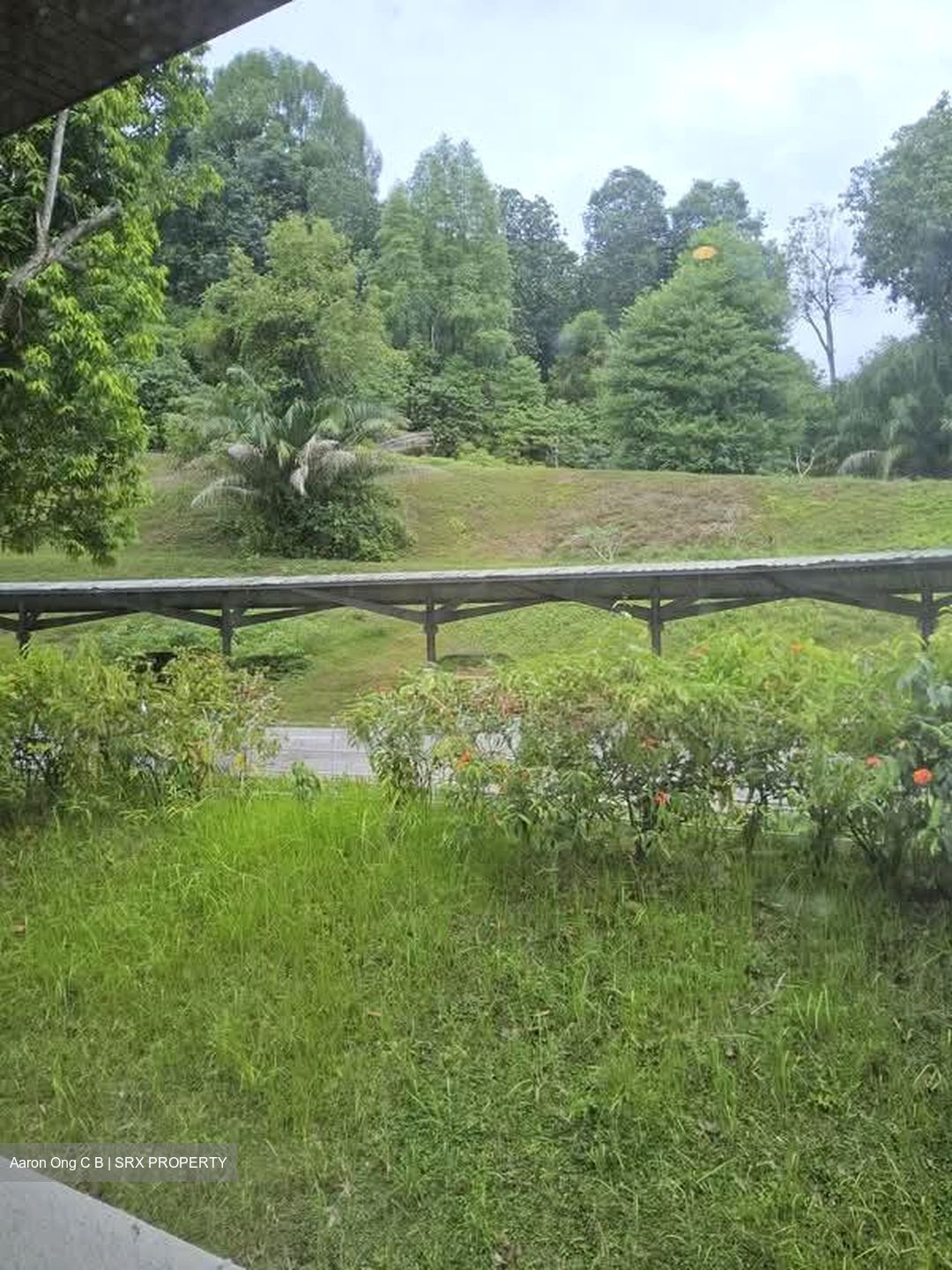 Clementi Park (D21), Condominium #574217911